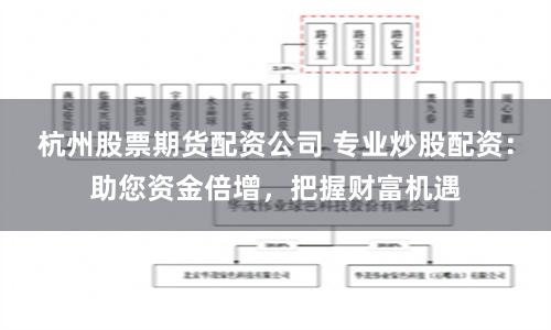 杭州股票期货配资公司 专业炒股配资：助您资金倍增，把握财富机遇