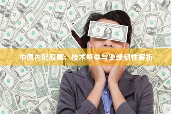 中原内配股票:技术壁垒与业绩韧性解析