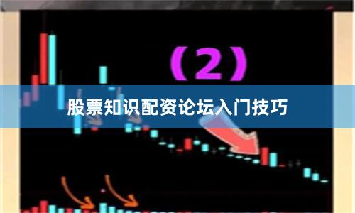 股票知识配资论坛入门技巧