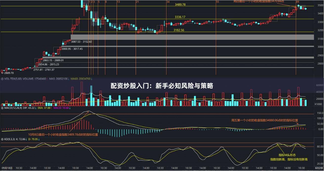 配资炒股入门：新手必知风险与策略
